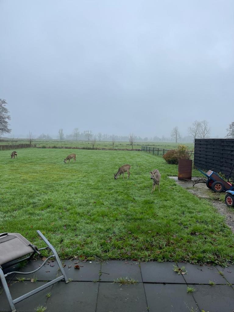 Blokhut Klein Meerzicht Haren (Groningen)